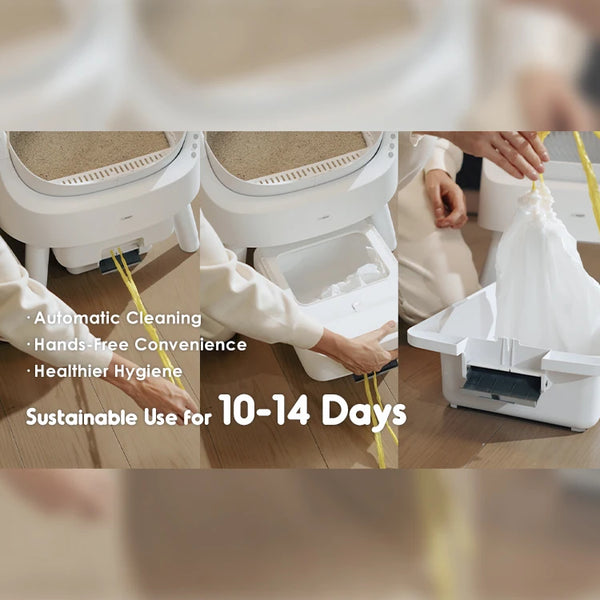 Smart Kitty Litter Box