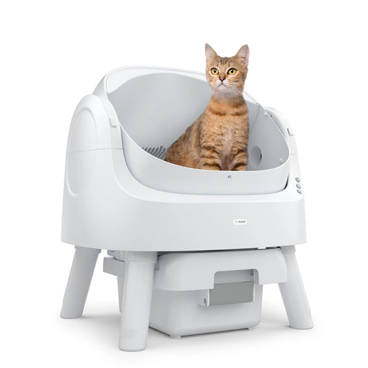 Smart Kitty Litter Box